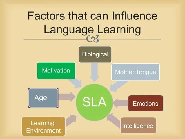The influence of language. Factors that influence second language acquisition. language change and factors that influence it ppt. language acquisition factors. language acquisitions and language learning.