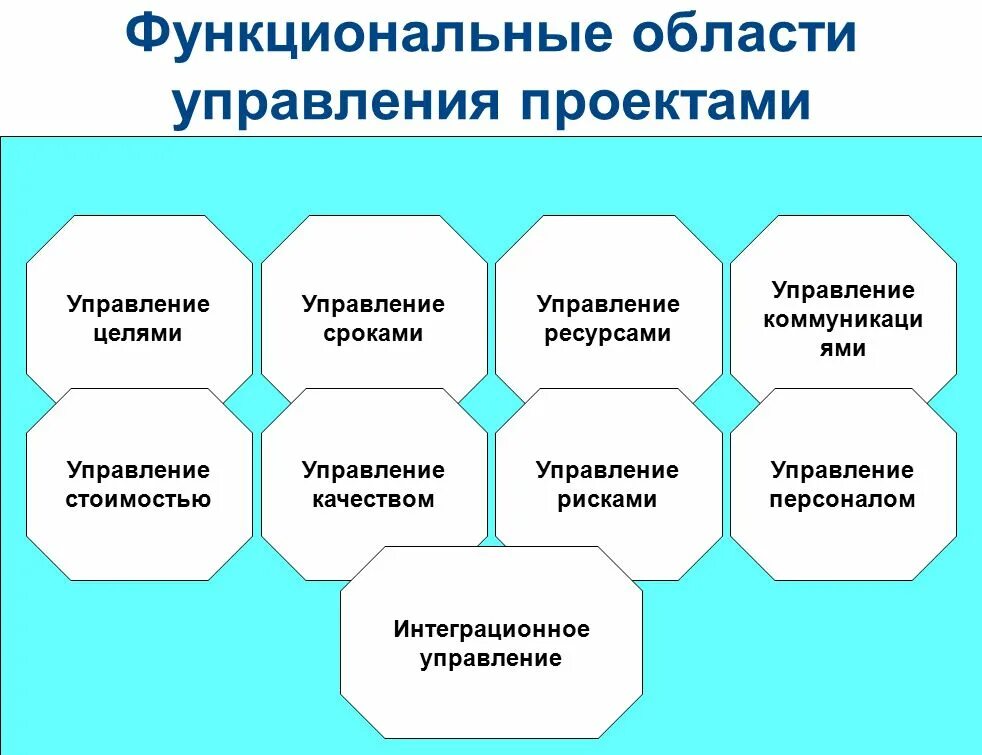 Управления управлении позволит реализовать. Функциональное управление проектом. Функциональные области управления проектами. Основы проектного управления. Специфика управления проектами.