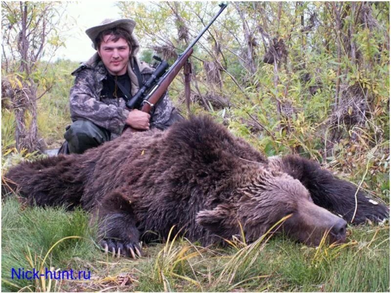 Охота на медведя на кольском полуострове