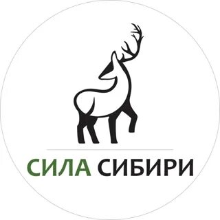 Сила сибири севастополь