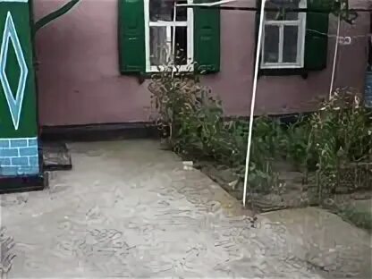 Погода восточный сосык староминского