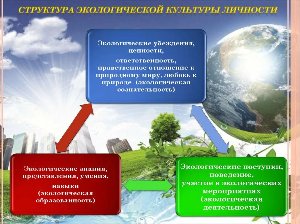 Формирование экологической личности. Структура экологической культуры. структура экологической культуры личности. формирование экологической культуры личности. воспитание экологической культуры личности.