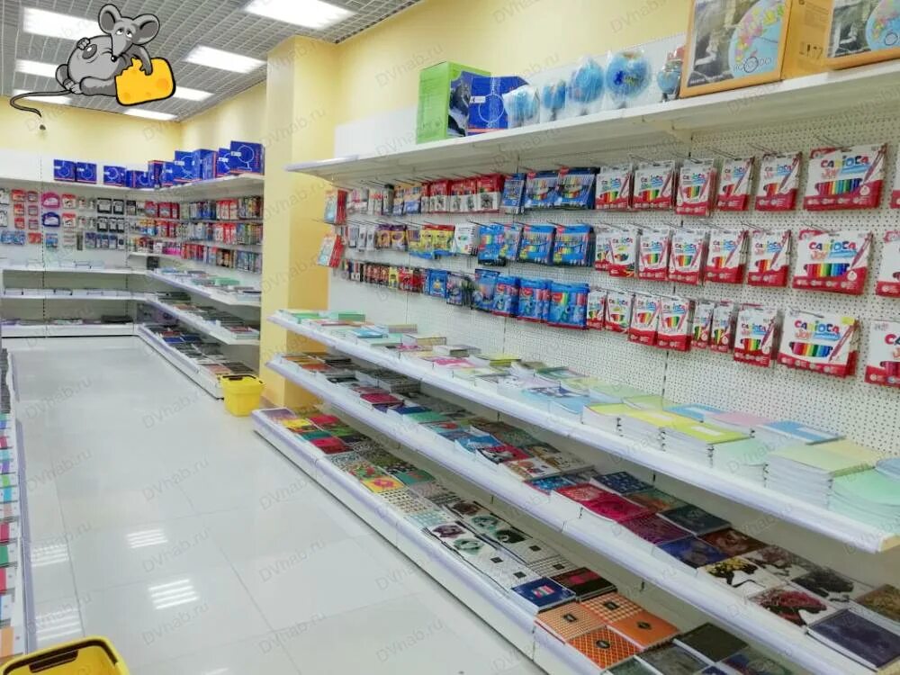 Канцелярский магазин хабаровск. Канцелярская крыса магазин хабаровск каталог. Магазин канцелярии в хабаровске. Канцелярская крыса хабаровск. Канцелярская крыса магазин.