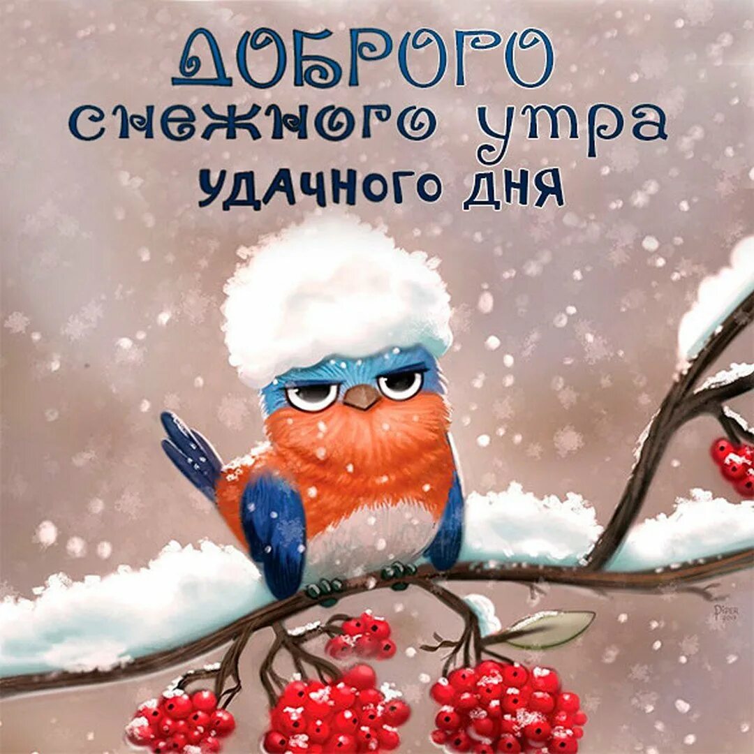 Доброе утро со снегом прикольно. Доброе утро зима прикольные. с добрым морозным утром прикольные. доброго снежного утра прикольные. открытки с добрым утром зимние прикольные.