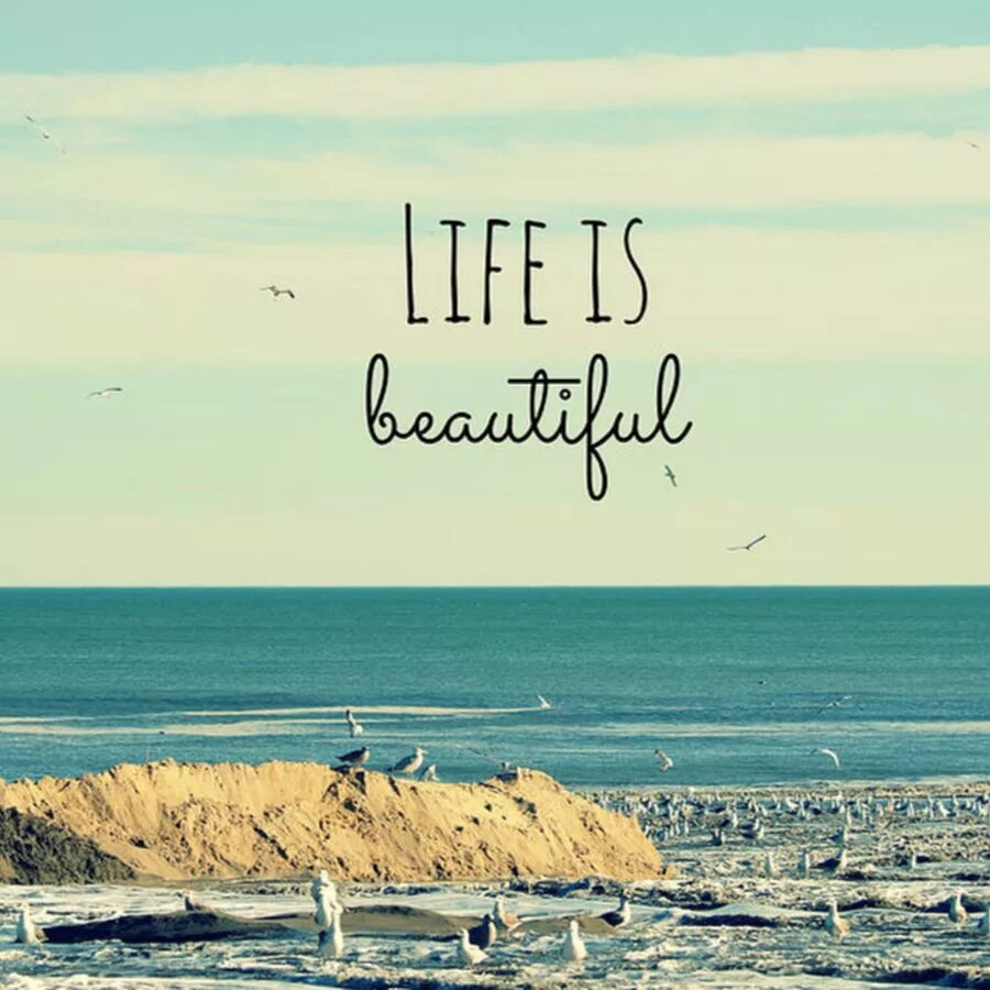 You can be the beauty. Жизнь прекрасна на английском. Лайф из бьютифул. Life is beautiful картинки. Wonderful Life картинки.