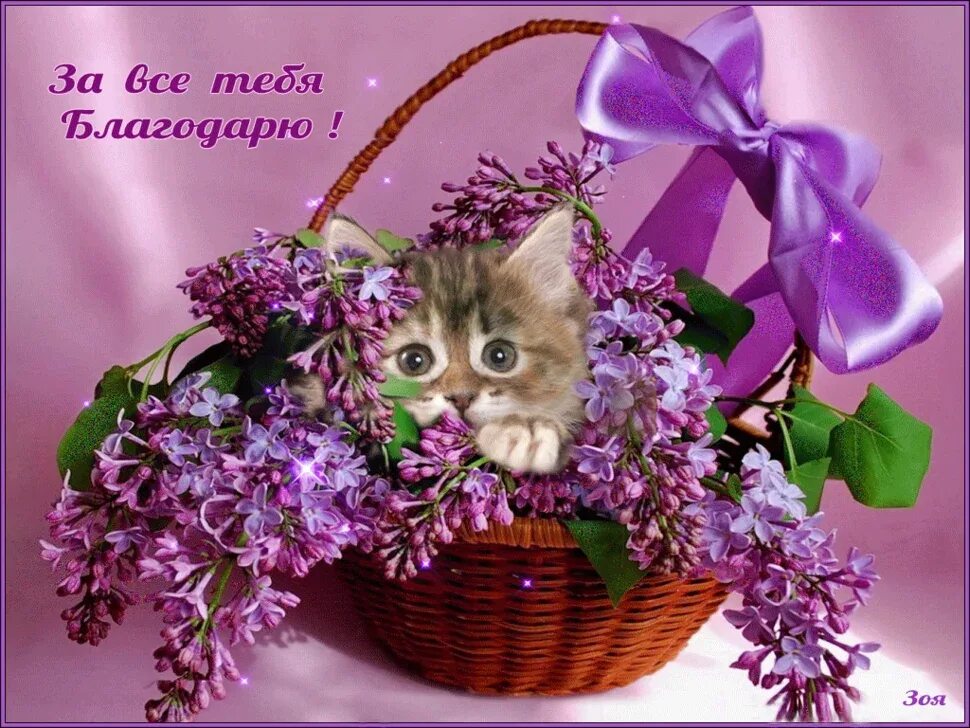 Спасибо дорогой хорошего дня. Красивые открытки. красивые открытки с благодарностью. мерцающие открытки с благодарностью. спасибо открытки красивые.