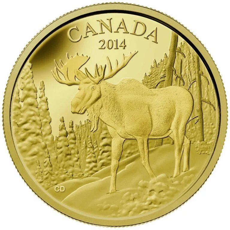 Монеты Канады. Коллекционные монеты Канады. Монета Канада доллар. Монета Канада 2014.