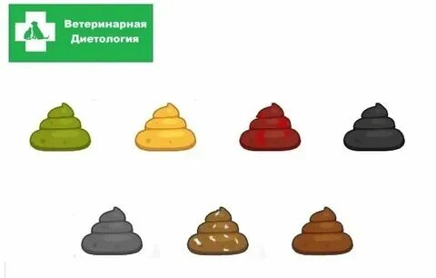 У собаки кал желтого цвета