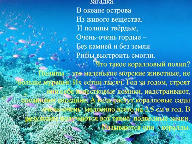 Загадка про океан. Загадки про океан для детей. Стихотворение про океан. Стихотворение про океаны для детей. Загадки про океанов