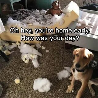 Home early