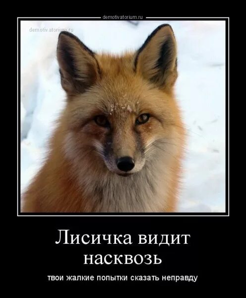 вижу я насквозь твою