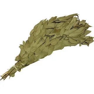 Веник лаврового листа
