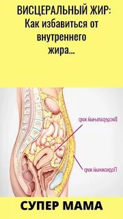 Как убрать висцелярный жир у женщин