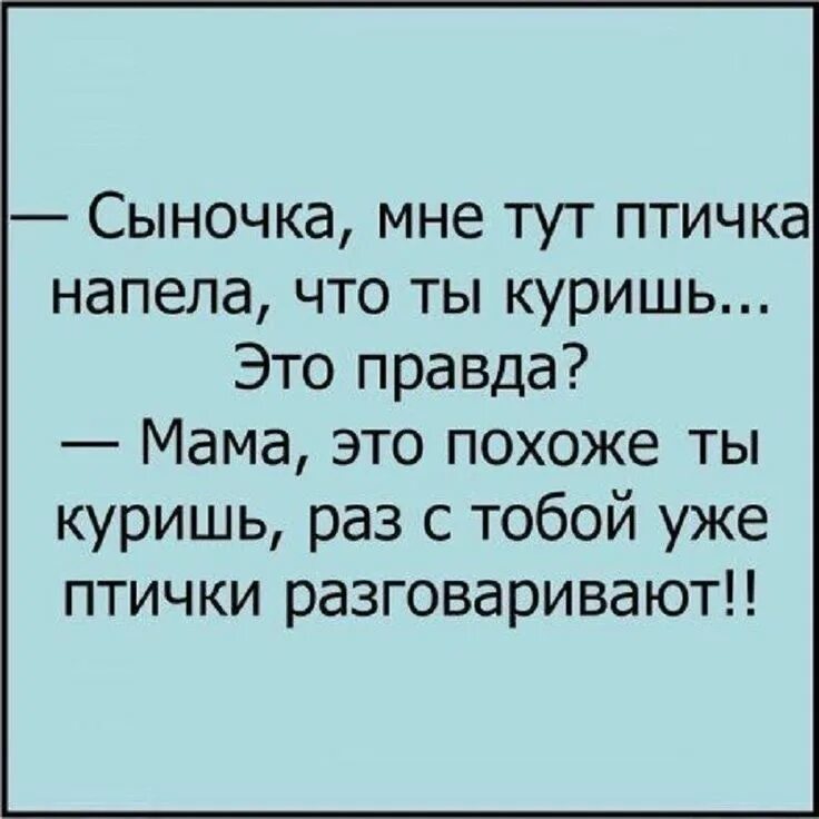 Скажите правду мама взмолился. Мне птичка напела что ты куришь. Птичка напела Мем. Анекдот мне тут птичка напела что ты куришь. Правда мам.