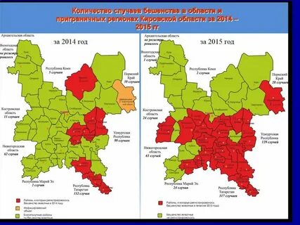 Карта случая