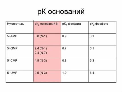 Год основаниями 6