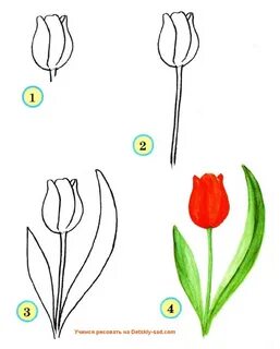 Тюльпаны рисунок для детей - самоделкин.