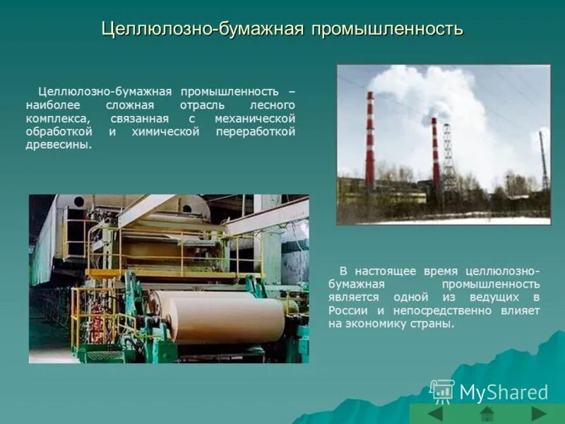 Оборудование целлюлозно-бумажное. Целлюлозно бумажная промышленность отрасли. Целлюлозно бумажная промышленность отрасли. Mondi целлюлозно бумажная промышленность. Производство бумаги.