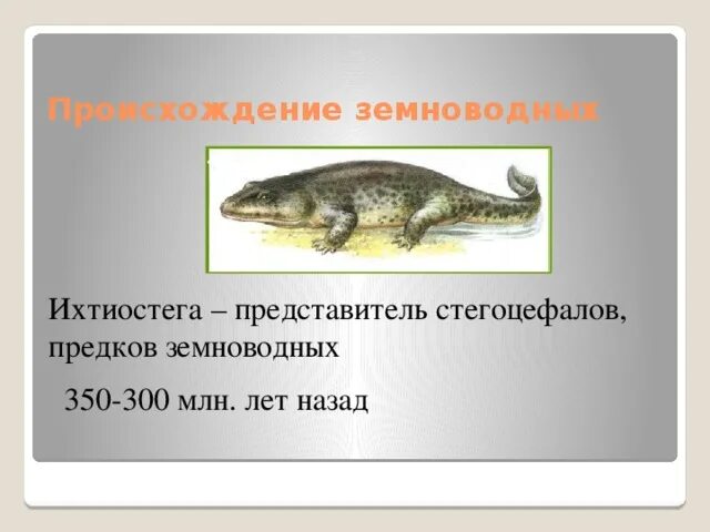 Девонский период тиктаалик. Происхождение зе новодных. Земноводные произошли от рыб. Предок современных земноводных. Кистеперая рыба и стегоцефал.