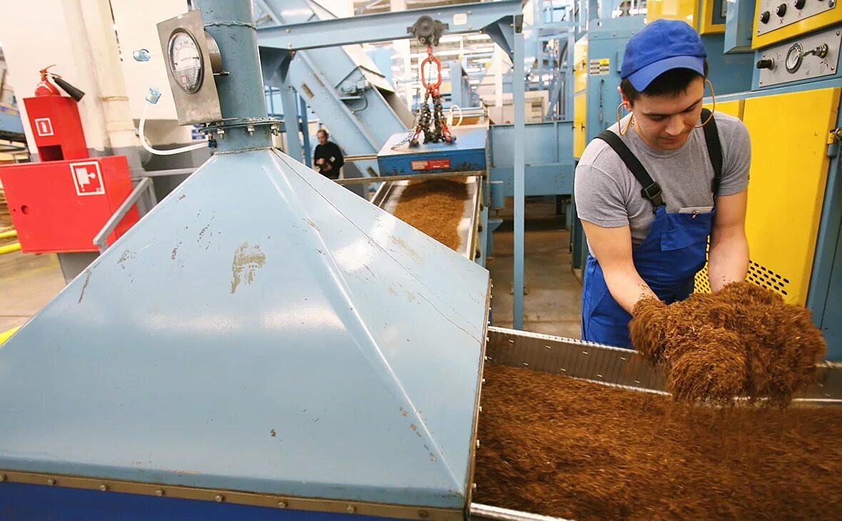 Завод сигарет Филип Моррис. Фабрика Лиггетт Дукат. Табачная фабрика бат СПБ. Табачная фабрика спб