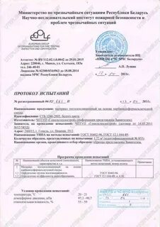 Протокол чс