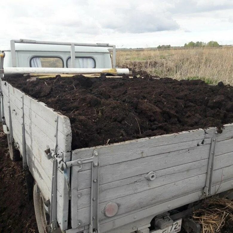 Купить навоз цены. Коровий перегной (машина 5 м3). Чернозём перегной навоз КАМАЗ. Перегной УАЗ. Перегной КРС.