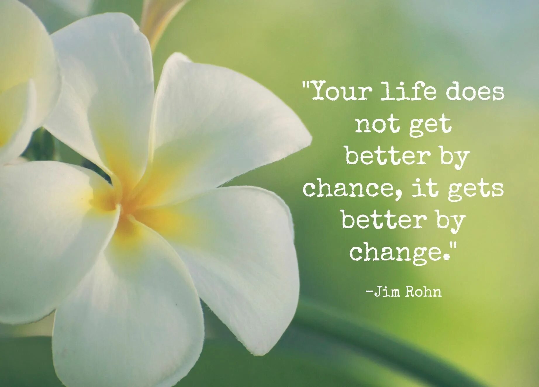 Do your life better. Life is getting better. Your Life does not get better by chance, it gets better by change. Wisdom quotations. Got your Life.