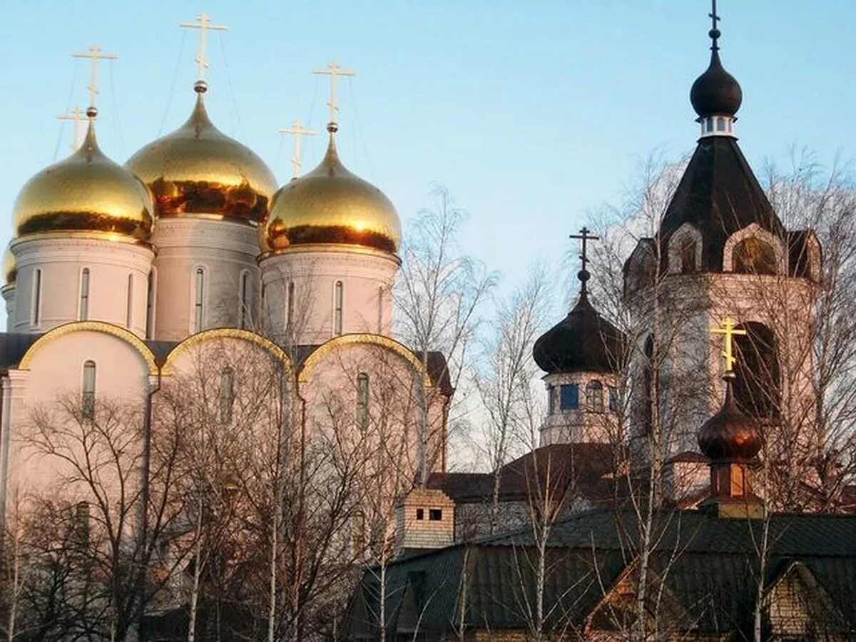 Свято николо васильевский. Свято-Успенский Николо-Васильевский монастырь в Никольском. Никольский монастырь Донецкая. Свято Никольский Васильевский монастырь в Донецкой области. Николо-Васильевский монастырь Новотроицкое.