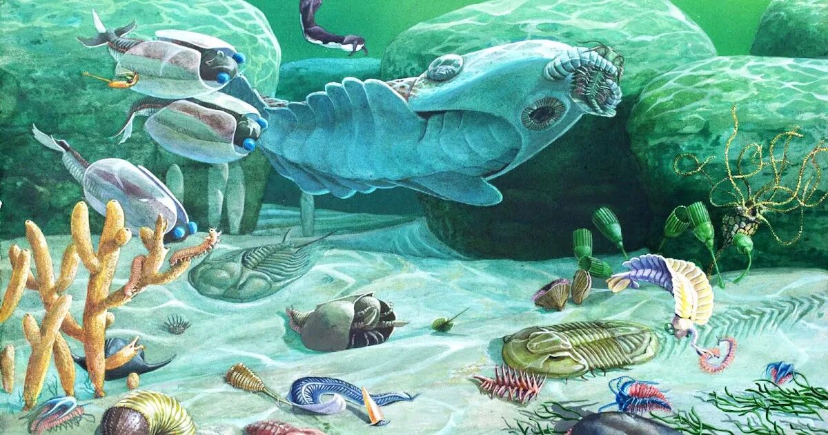 Палеозойская эра кембрийский период растения. Палеозой эра кембрий. Кембрийский ордовикский силурийский. Палеозойская эра ордовикский период. Палеозойская эра ордовикский период.