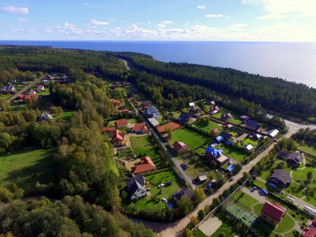 Рощино новгородская область. Поселок Рощино Валдайский район. Посёлок Рощино Ленинградская. Валдай поселок Рощино. Рощино Ленинградская область Гребельный.