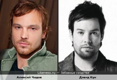 Чадов похож на
