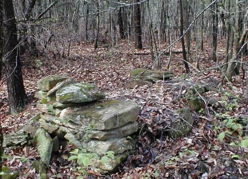 Найди снайпера в лесу. Замаскированный снайпер в лесу. Маскировка снайпера в лесу. Найдите снайпера на картинке. Незаметный найти.