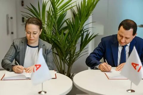 Сотрудничество с правительством