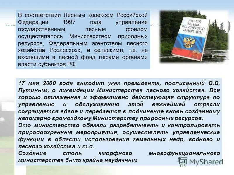 в соответствии с лесным кодексом