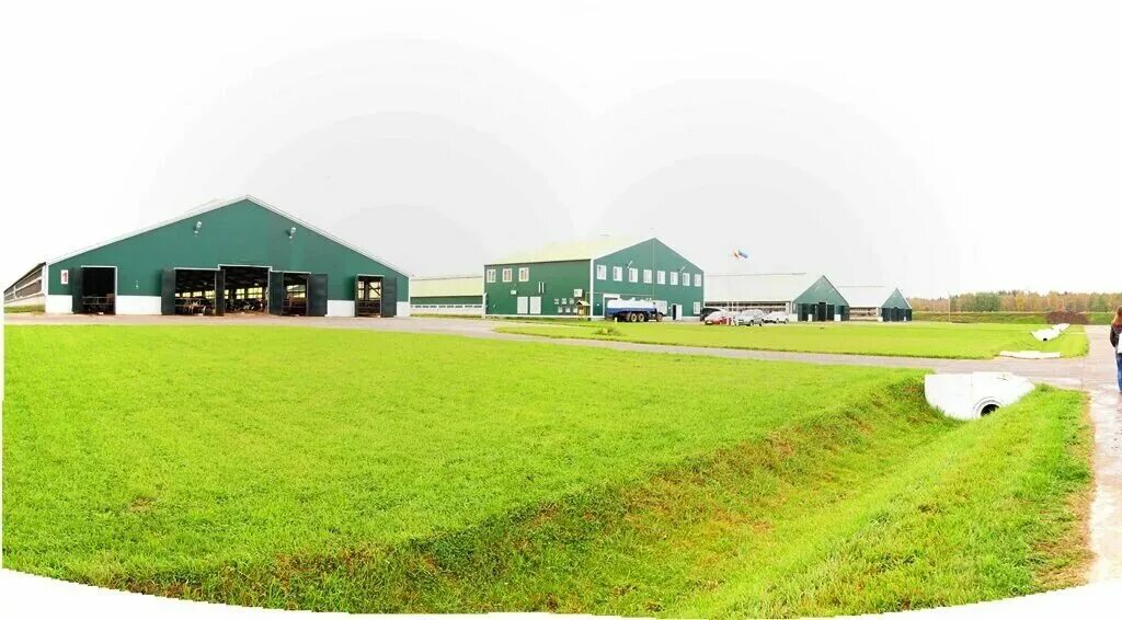 дмитров агрофирма. агропромкомплектация дмитрова гора. агропромкомплектация дмитрова гора. дмитрова гора тверская область. дмитровские овощи.