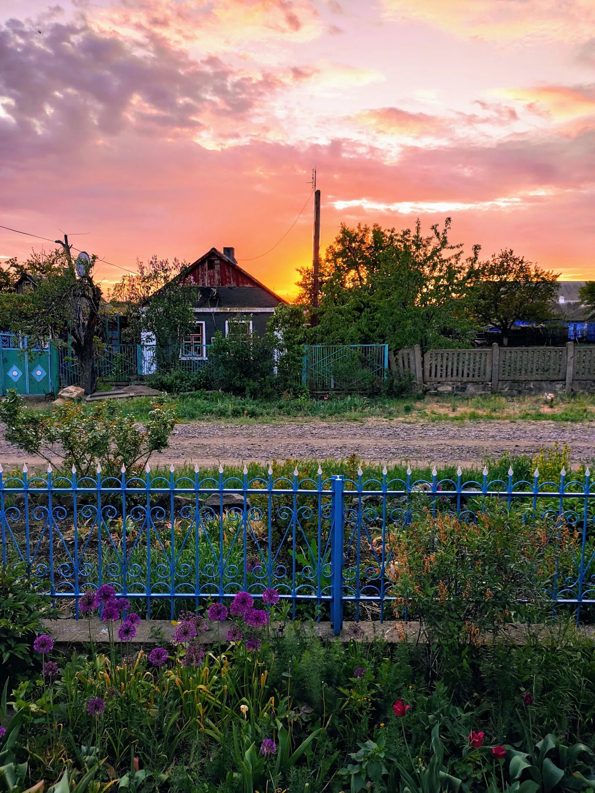 Деревенский вайб это. Вайб деревни. деревня летом. лето деревья. красивая деревня.