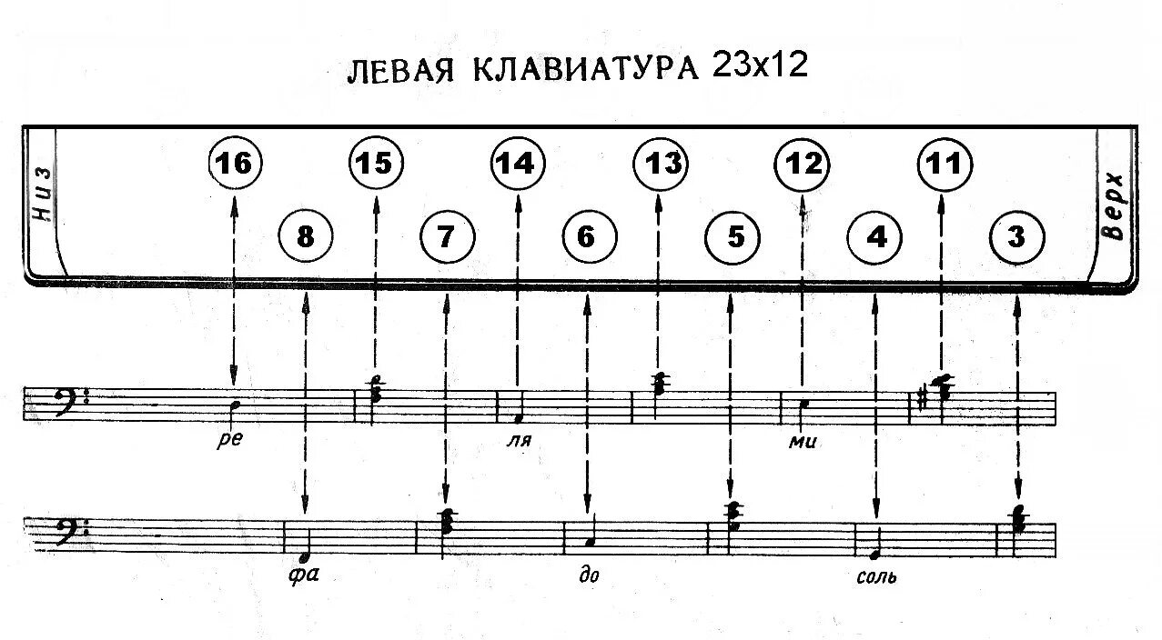 Схема левой клавиатуры гармони хромки. Схема гармони 12х23. Схема левой клавиатуры гармони 25х25. Схема клавиш на гармошке. Уроки игры на гармошке для начинающих