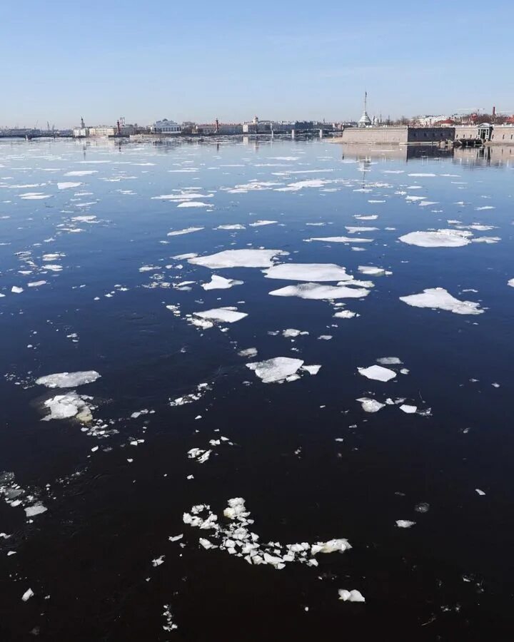 Ледоход на неве 2024. Ледоход на малой Неве. Ледоход на Неве 2023.