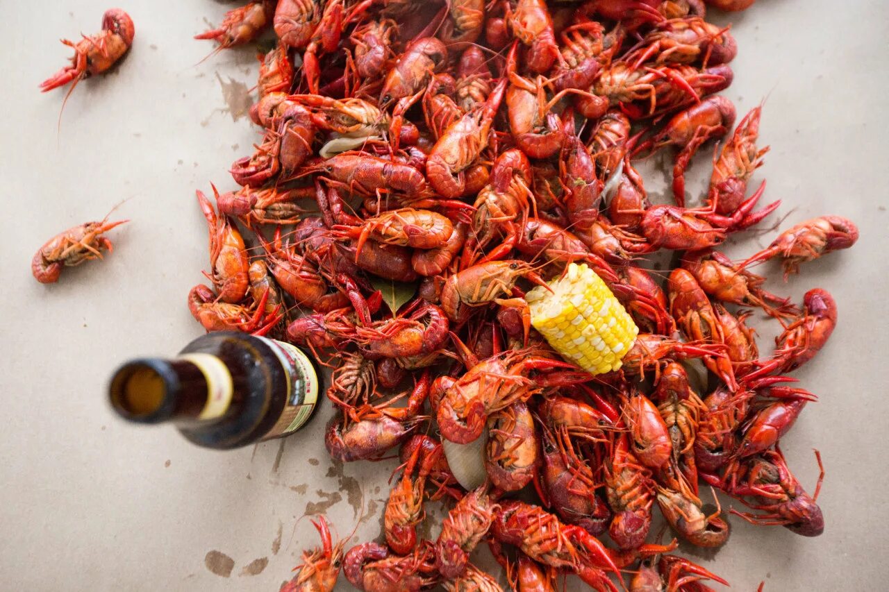 Раки скрытные. Crawfish картинки. Georgia Herb. Раками6.