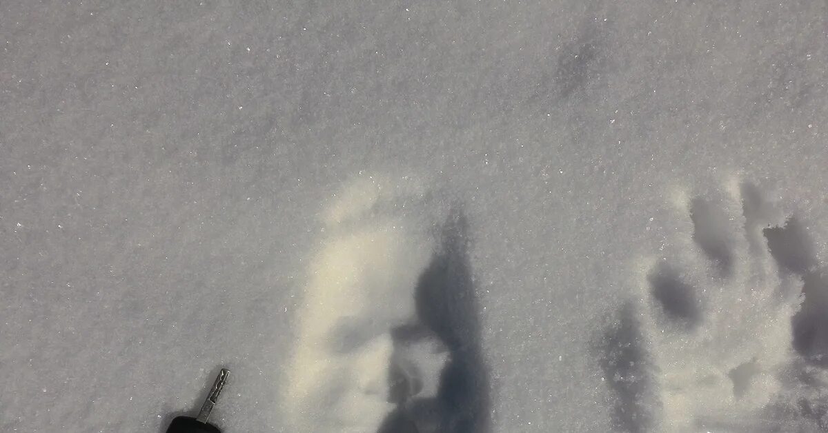 Лицо в сугробе отпечаток. След лица на снегу.