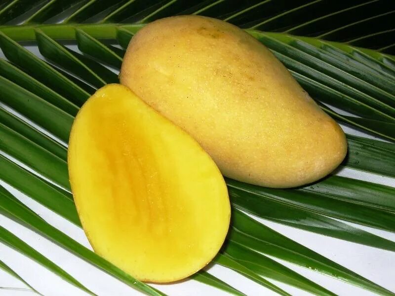 Манго Тайланд зеленое. Сорта манго в Тайланде. Манго сорт Голд. Сорта тайского манго.