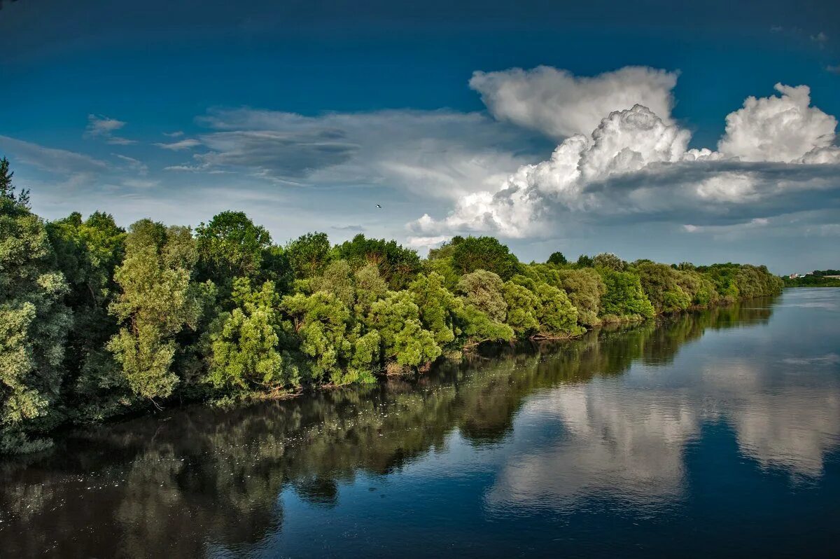 Река десна брянская область. Река десна брянская область. Река десна брянск. Река десна брянская область. Река десна брянская область.