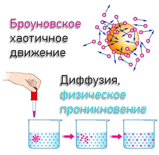 Броуновское ждвижение - Физика - Презентации - 7 класс