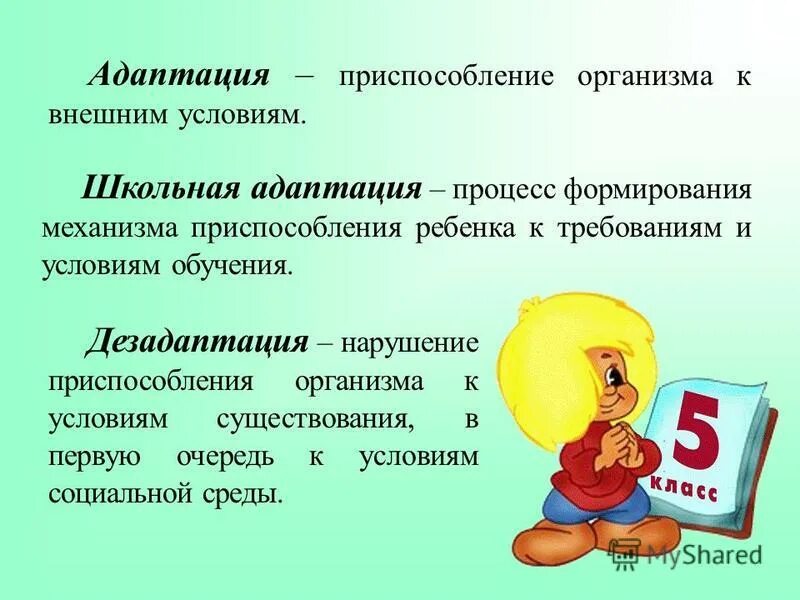 Адаптация 5 класс. Адаптация в пятом классе. Этапы адаптации в 5 классе. Презентация на тему адаптация.