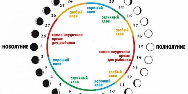 Лунный рыбный календарь на 2022 год. Календарь клева 2022. Клев в новолуние. Фазы Луны для рыбалки. Клев сухиничи