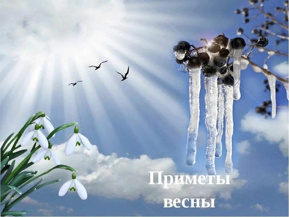 Запиши 1 из известных тебе весенних примет. Приметы весны. Народные приметы о весне.