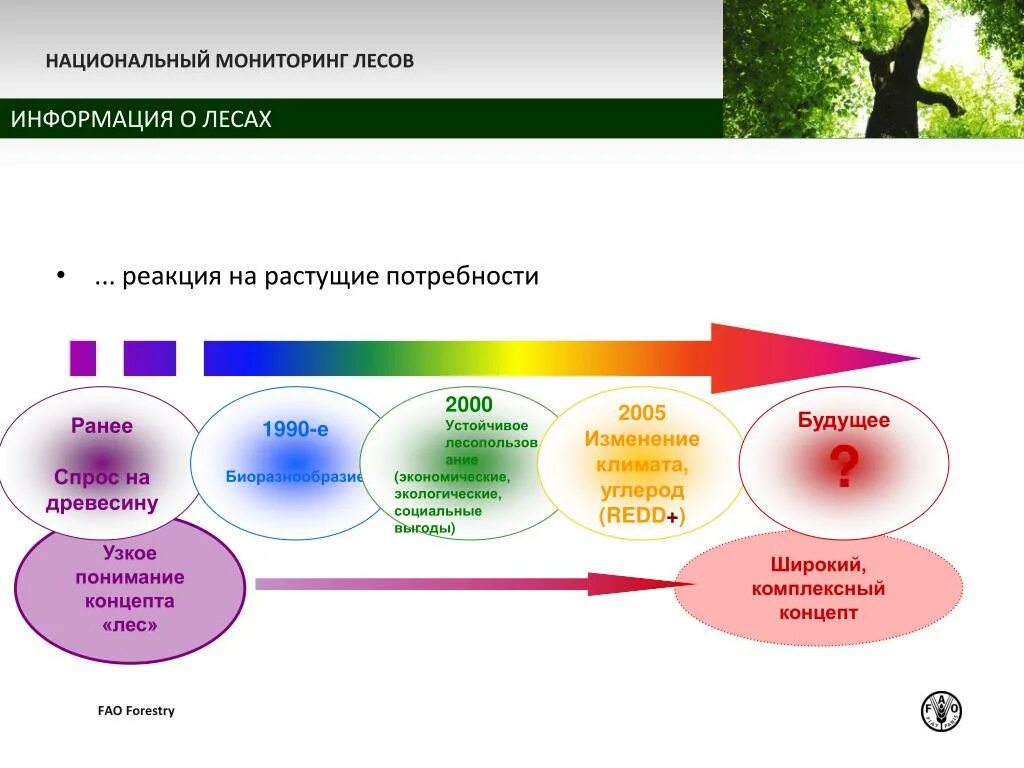 Информация для отслеживания в фонд. Национальный мониторинг. Мониторинг лесов. Объекты мониторинга лесов. Мониторинг лесного фонда.