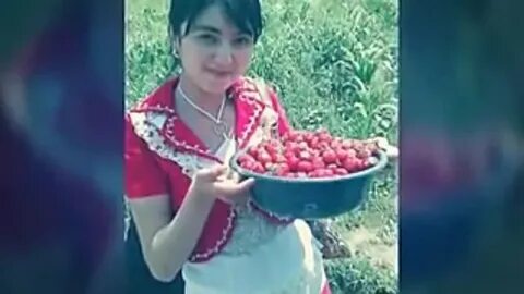 Vidyolar