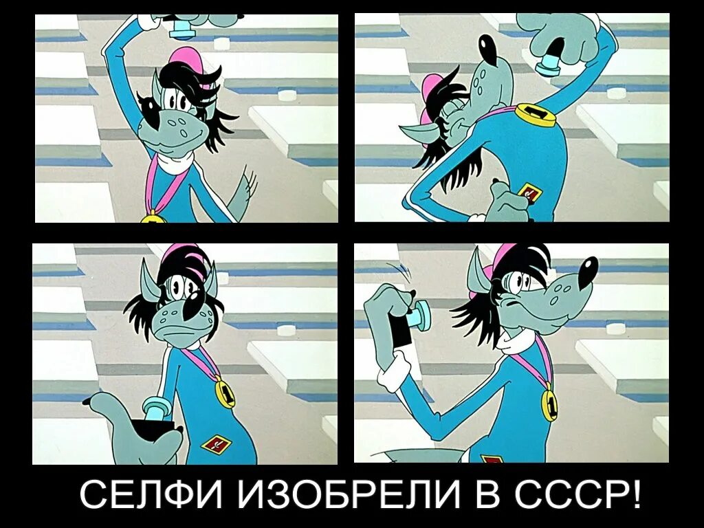 ну погоди волк фотографирует себя. волк ну погоди делает. ну погоди селфи. волк ну погоди. волк из ну погоди.