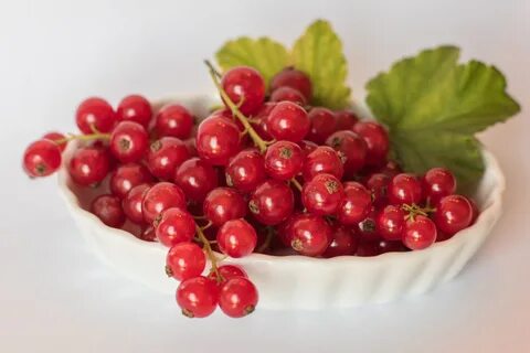 Currant на русском